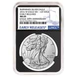2016-W 1 oz Burnished Silver American Eagle NGC MS 69 Early Releases - 30th Anniversary (Retro)