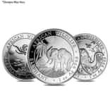 Somalia 1 oz Silver African Elephant Coin BU (Random Year)