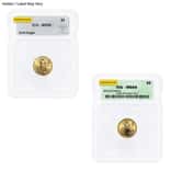 1/10 oz $5 Gold American Eagle ICG MS 69 (Random Year)