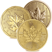 Gold Canadian Maple Leaf Coins