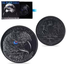 2024 (W) SILVER EAGLE NGC MS70 FDI STRUCK AT WEST POINT DON