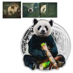 Carte Giant Panda - Life TCG 2023, 118/100, Finition Holo, Near Mint
