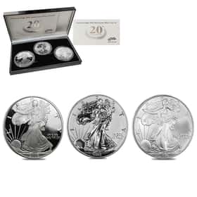 2006 W/P 1 oz Silver American Eagle Coin Set | Bullion Exchanges
