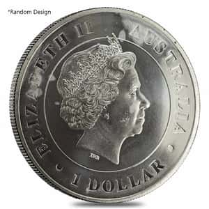 1 oz Silver Coin Random Mint .999+ Fine (Milky, Scruffy, Toned)