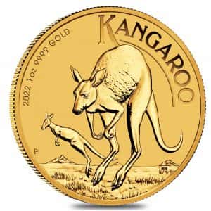 kangaroo