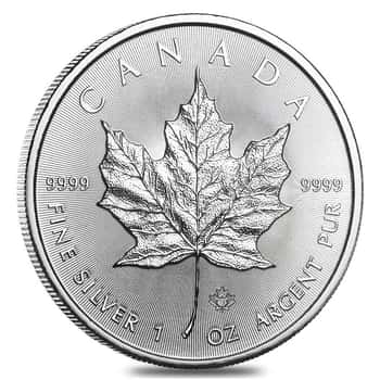 Canadian Silver Maple
