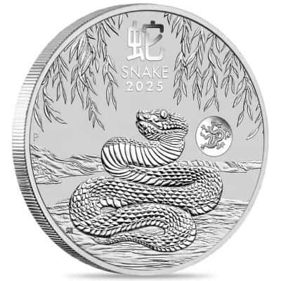 silver snake dragon privy