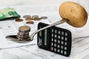Household income