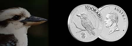 2025 Silver Kookaburra Coins Now Available for Presale at Bullion Exchanges