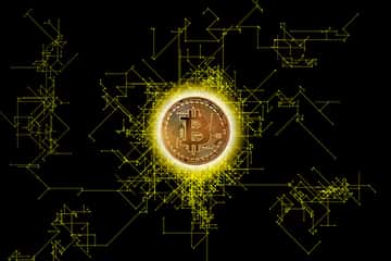 Bitcoin Crashes, Rallies