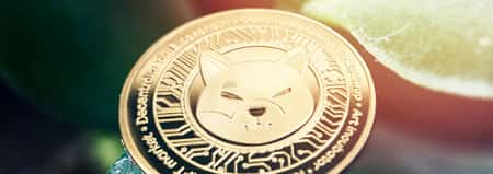 Bullion Exchanges Now Supports Shiba Inu as Payment Through BitPay