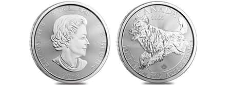 Wolf Silver Coin - Predator Series RMC