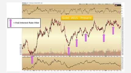 FED Follows Market – Will Gold Respond?