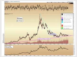 Silver Testing Multi-Decade Support