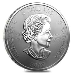 The Canadian Silver Grizzly Leaps Onto the Scene