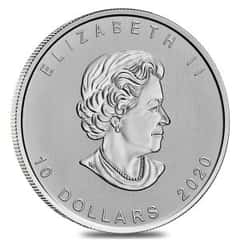 Take a Gander at the New 2020 2 oz Canada Goose Coin!