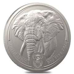 Live Life on the Wild Side with the New Platinum Elephant Coin