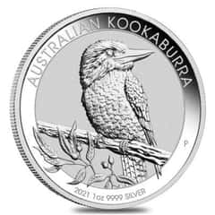 2021 Silver Kookaburras Dive In from Down-Under