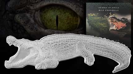 New Animals of Africa Series Arrival: The Nile Crocodile!