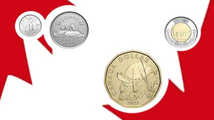 New Canadian Dollar Coin Sets are Unbe-LEAF-Able!