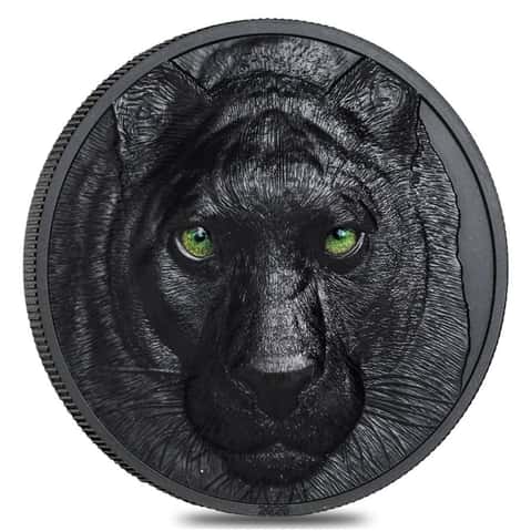 2020 2 oz Silver Hunters by Night - Black Panther Coin