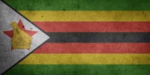 Cold Coin Zimbabwe