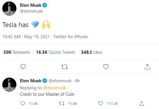 Elon Musk bitcoin bubble twitter diamond hands