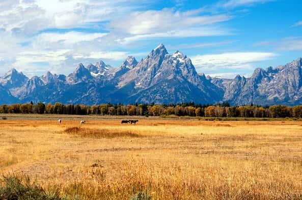 Jackson Hole Symposium