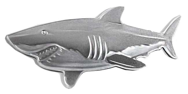 Shark coin obverse