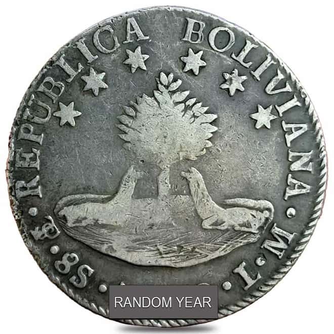 1827-1840 Bolivia 8 Soles Silver Coin Avg Circ (Random Year)