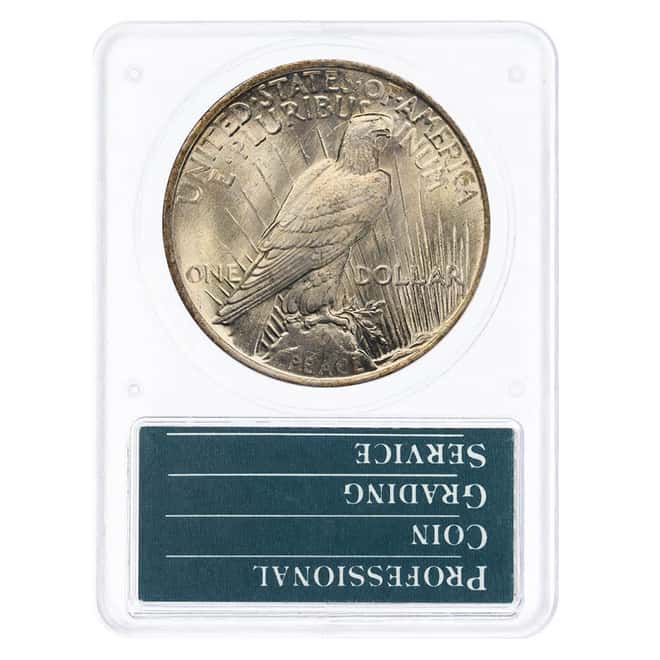 1921-1935 Peace Silver Dollar $1 PCGS MS 64 Rattler Holder (Random Year)