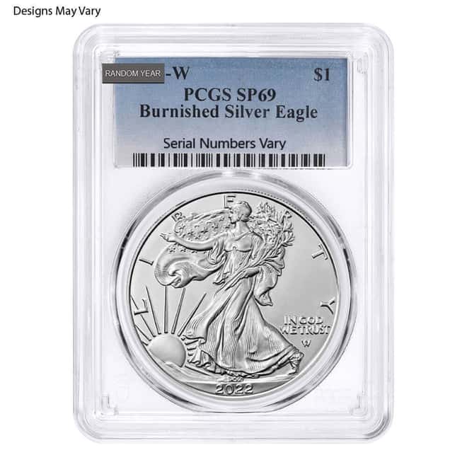 1 oz Burnished Silver American Eagle NGC/PCGS MS/SP 69 (Random Year)