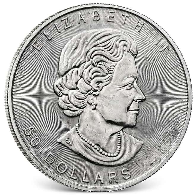 1 oz Platinum Canadian Maple Leaf Coin Scruffy (Random Year)