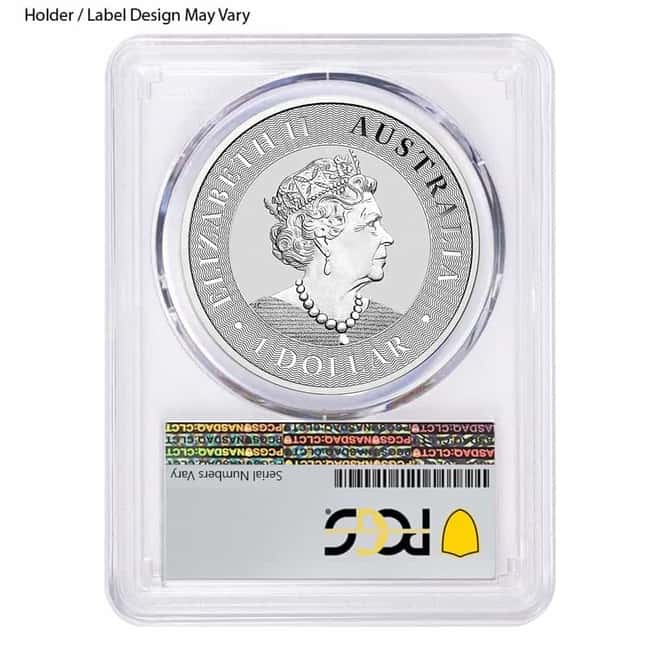 1 oz Australian Silver Kangaroo NGC/PCGS MS 70 (Random Year)