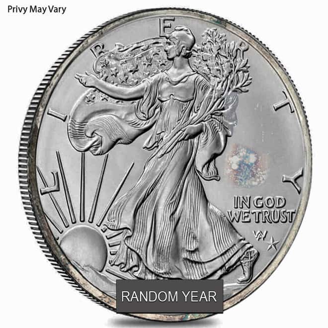 Random Privy 1 oz Silver American Eagle $1 Coin Cull (Random Year)