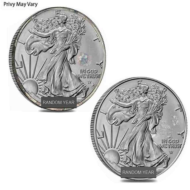 Random Privy 1 oz Silver American Eagle $1 Coin Cull (Random Year)