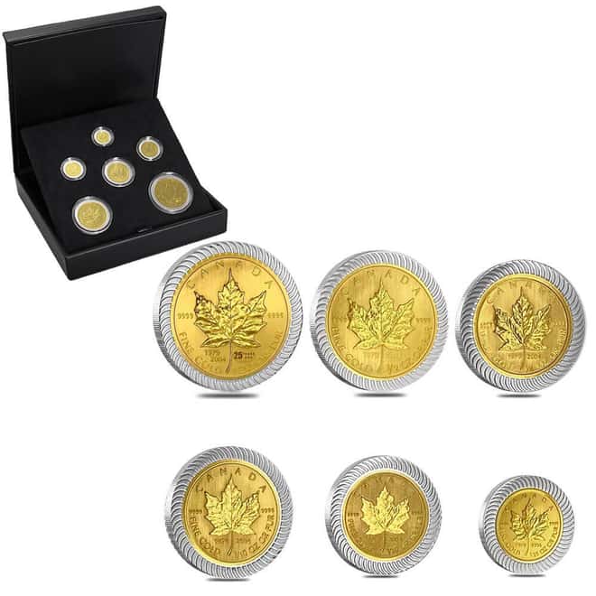 2004 Canada 1.94 oz Gold / Silver Maple Leaf 25th Ann. Bi-Metallic 6-Coin Set (w/Box & COA)
