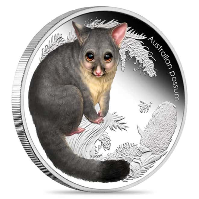 2013 1/2 oz Silver Australian Bush Babies Possum Proof Coin Perth Mint
