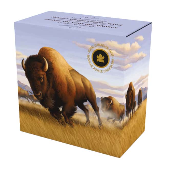 2013 Canada 1 oz American Bison Stampede Silver Coin