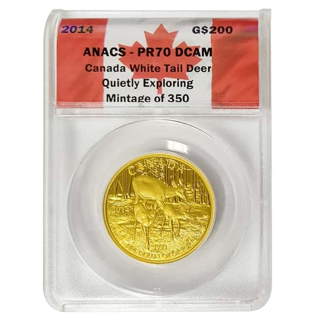 2014 1 oz Gold Canadian White Tailed Deer Quietly Exploring Coin ANACS PF 70 DCAM
