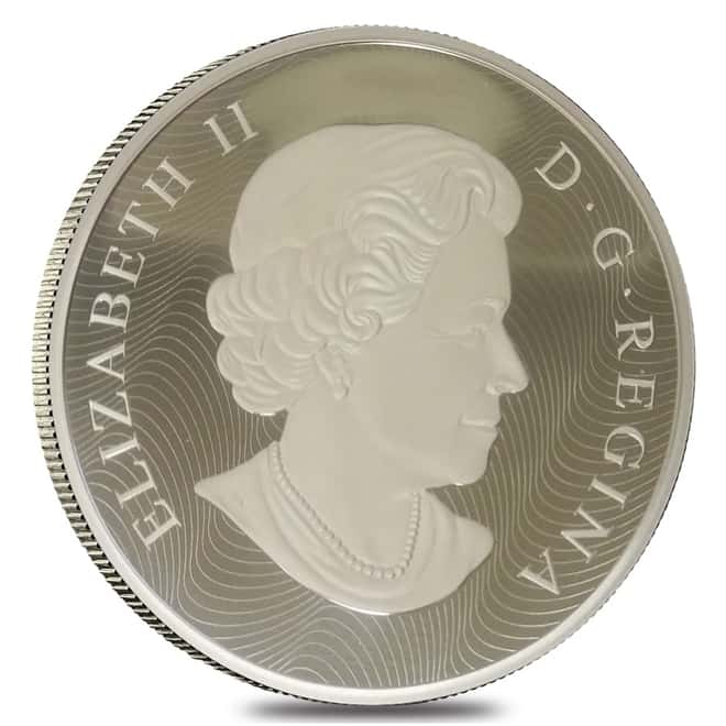 2015 10 oz Canadian Albert Einstein Theory of Relativity $100 Silver Coin Off Quality (In Cap)