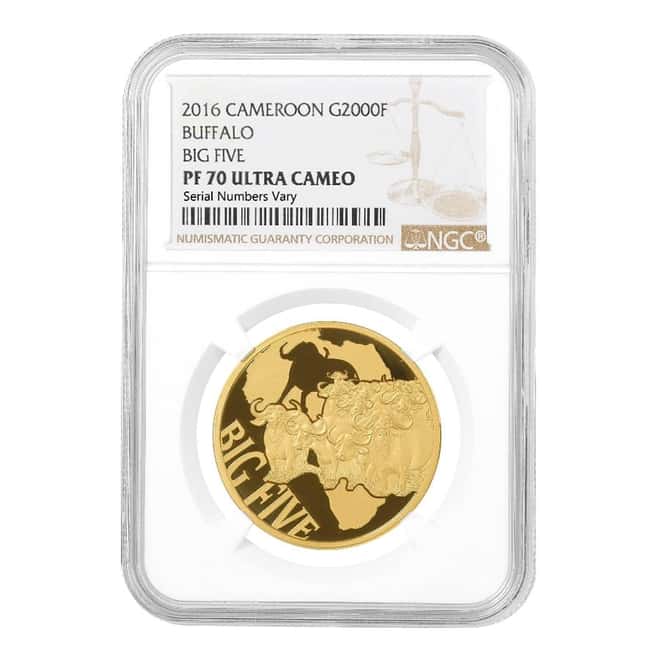 2016 Cameroon 1/2 oz Buffalo Big Five 2000 Francs Proof Gold Coin NGC PF 70 UCAM