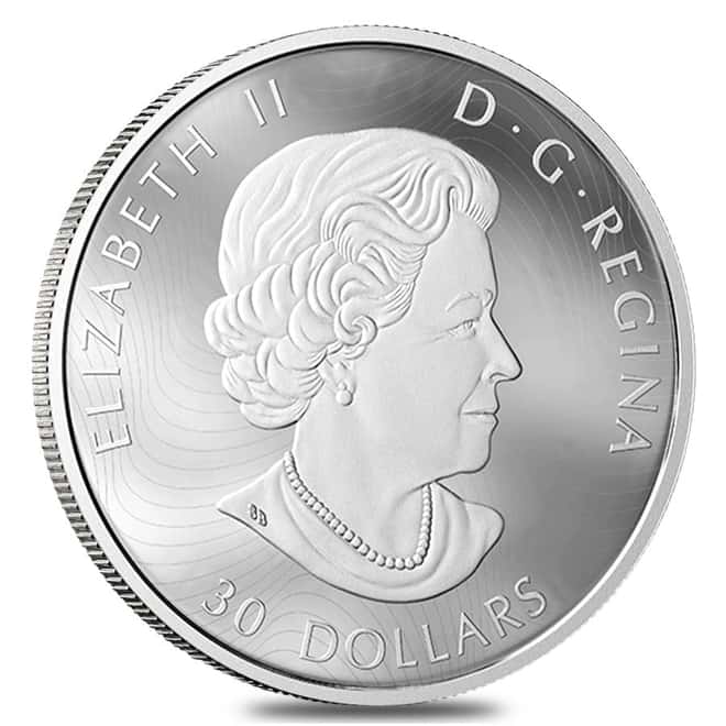 2019 2 oz Silver Canada Birds in the Backyard Colorized Coin (w/Box & COA)