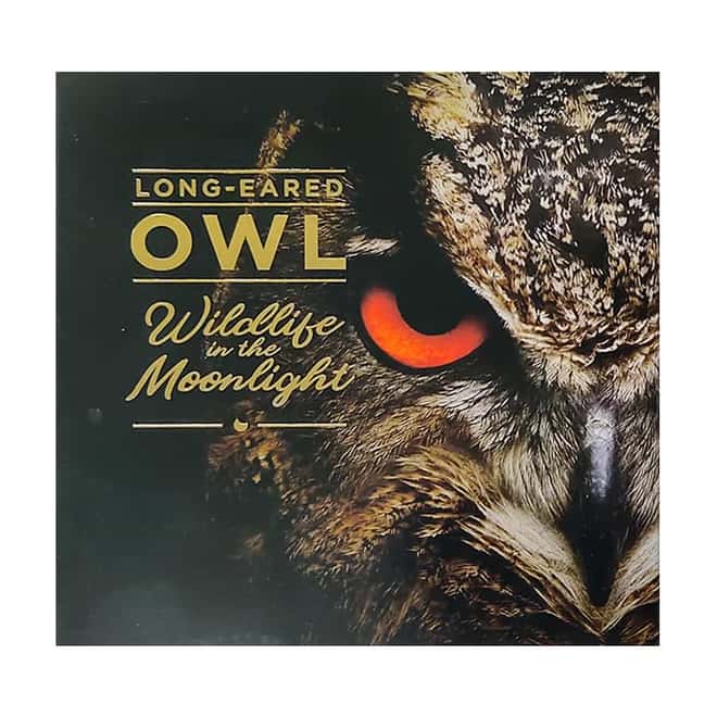 2019 Niue 2 oz Silver Long-Eared Owl Antiqued High Relief Coin (w/Box & COA)
