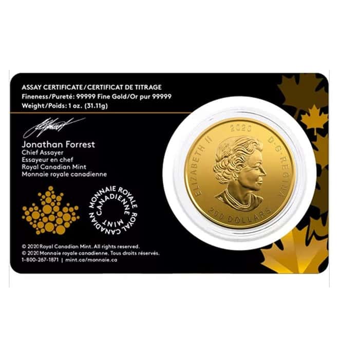 2020 1 oz Canadian Gold Bobcat - Call of the Wild $200 .99999 Fine Gold (In Assay)