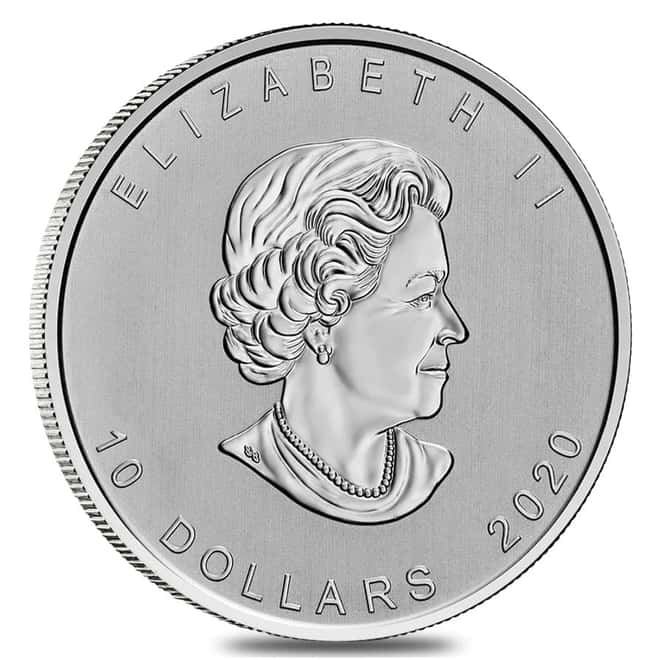 2020 2 oz Canada Goose Silver Coin .9999 Fine BU
