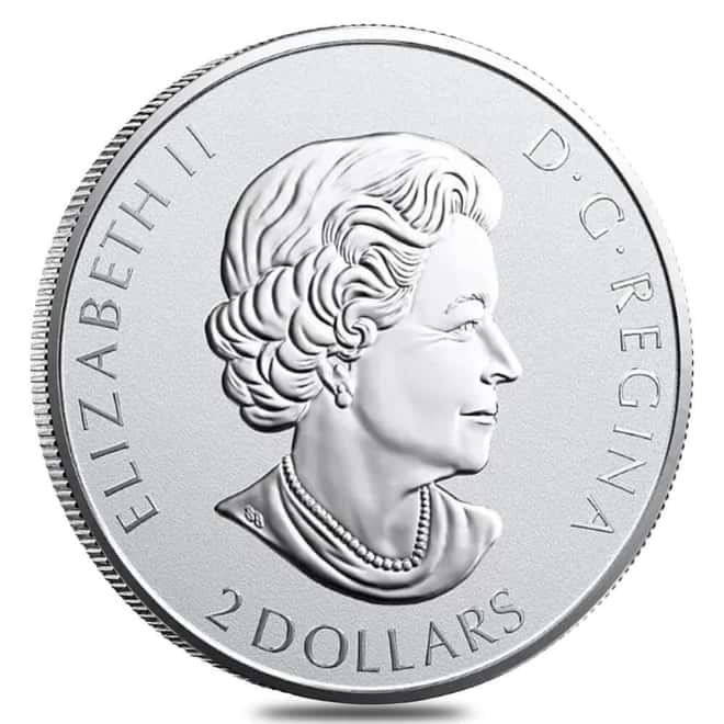 Tube of 30 - 2021 3/4 oz Canadian Great Horned Owl Reverse Proof Silver Coin .9999 Fine
