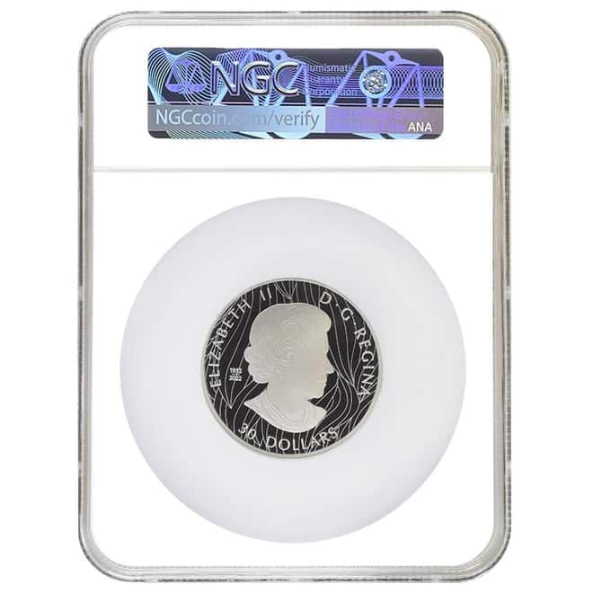 2023 Canada 2 oz Striking Bald Eagle Proof Silver Coin NGC PF 70 UCAM (Claudio D'Angelo)
