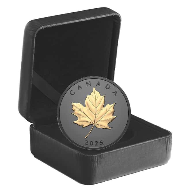 2025 Canada 1 oz Elegant Maple Gilded Silver Coin .9999 Fine