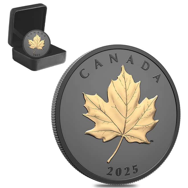 2025 Canada 1 oz Elegant Maple Gilded Silver Coin .9999 Fine